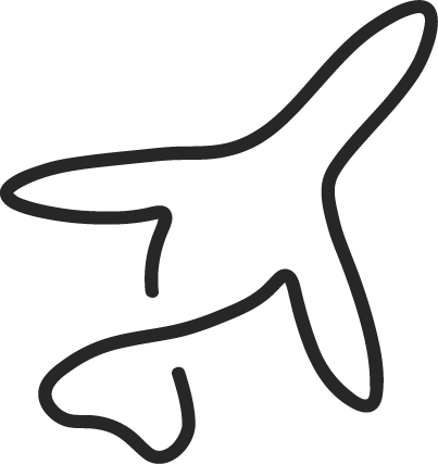 fly