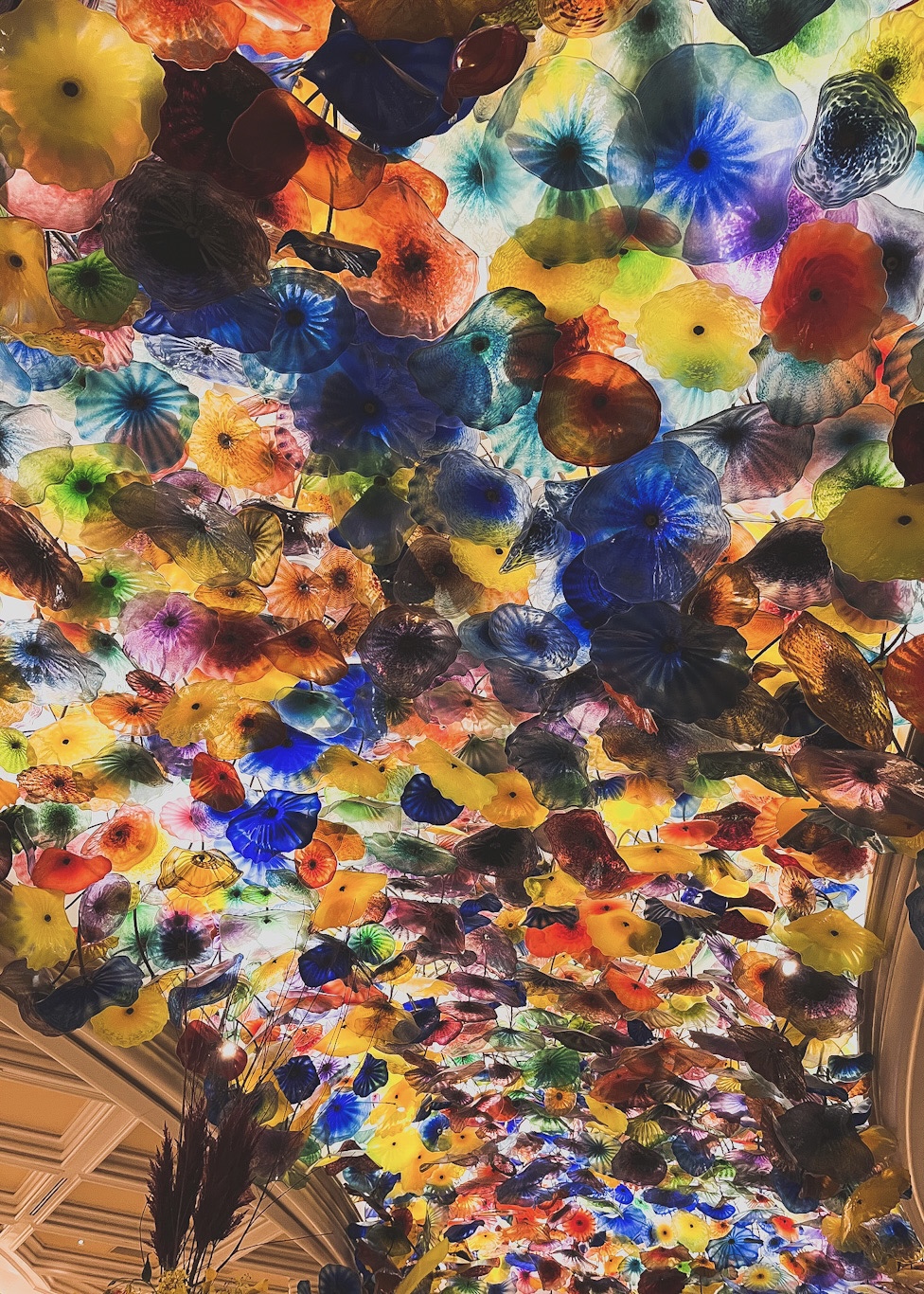 lasvegas