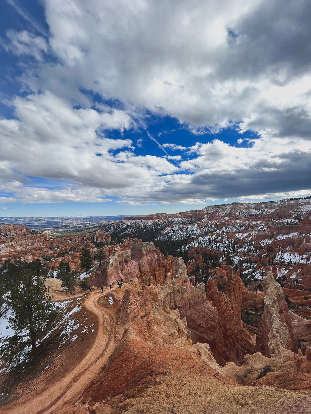 bryce