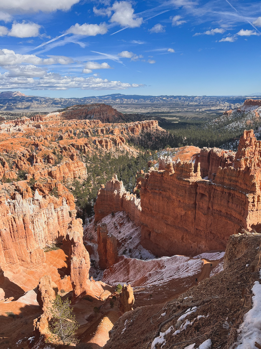bryce